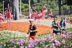 BIB: 
                            <button type="button" onclick="openModal(27794304)" class="btn btn-primary btn-sm float-right btn-popup" data-toggle="modal" data-target=".modal-high-quality">
                        <i class="fas fa-shopping-cart"></i> Add to Cart
                    </button>
                                            <button type="button" onclick="isThisMe(27794304, true)" class="btn btn-success btn-sm float-right btn-popup btn-isme hidden" data-toggle="tooltip" data-placement="bottom" title="นี่คือรูปของคุณใช่ไหม คลิกที่นี่เพื่อเอาเข้าอัลบั้ม">
                        <i class="fas fa-plus"></i> Add to album
                    </button>
                    <button type="button" onclick="isThisMe(27794304, false)" class="btn btn-warning btn-sm float-right btn-popup btn-isnotme hidden">
                        <i class="fas fa-ban"></i> Remove from album
                    </button>